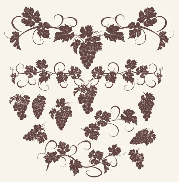 Vector design elements in vintage style with vines. — Stock Vector