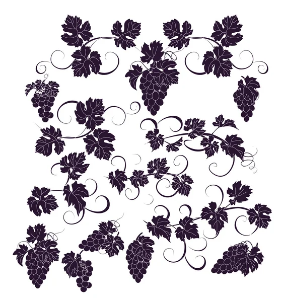 Eléments de design vectoriel dans un style vintage avec vignes . — Image vectorielle