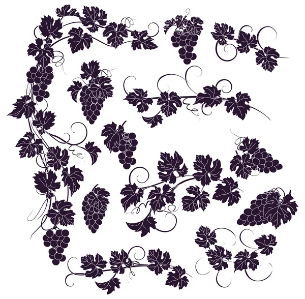 Vector design elements in vintage style with vines. — Stock Vector