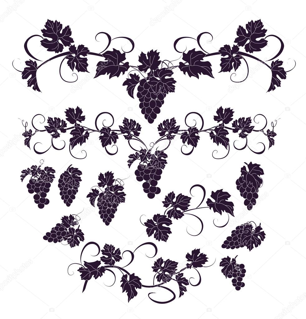 Vector design elements in vintage style with vines.