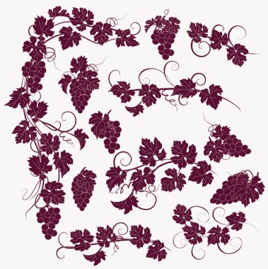 Vektör tasarım öğeleri ile üzüm vintage tarzı.