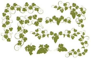 Vektör tasarım öğeleri ile üzüm vintage tarzı.