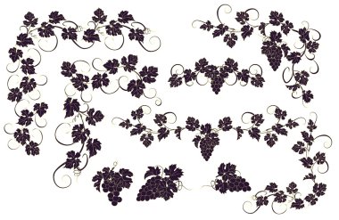 Vektör tasarım öğeleri ile üzüm vintage tarzı.