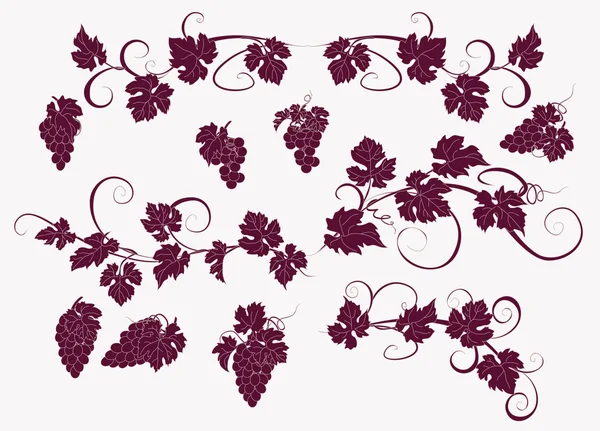 Vector design elements in vintage style with vines. — Stock Vector