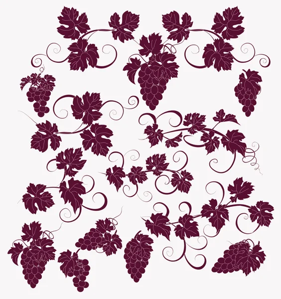 Vector design elements in vintage style with vines. — Stock Vector