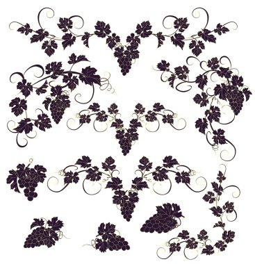 Vektör tasarım öğeleri ile üzüm vintage tarzı.