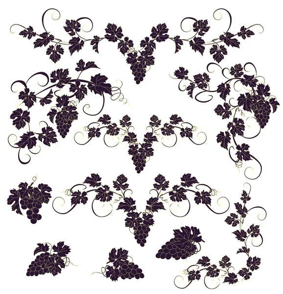 Vektör tasarım öğeleri ile üzüm vintage tarzı.