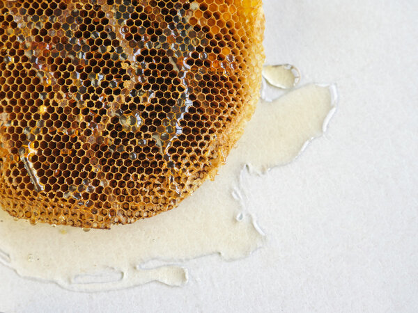 Closeup of honeycomb with honey.