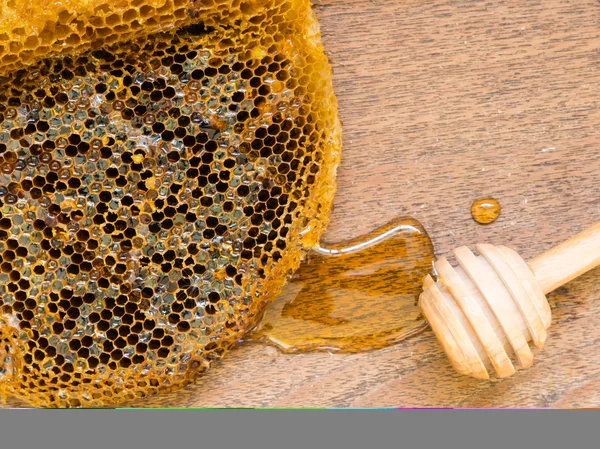 Primer plano de panal con miel . —  Fotos de Stock