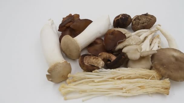 Mixed mushrooms on a white background — Stock Video