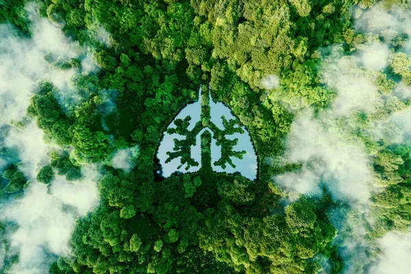 地球の肺の比喩的な画像 野生の 原始的で手付かずの森の真ん中に肺の形をした池の形をしたアイコン 3Dレンダリング — ストック写真