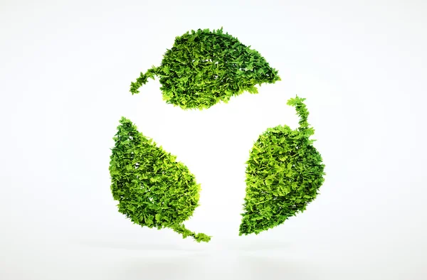 Öko-nachhaltiges Konzept. — Stockfoto