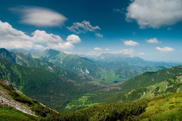 Bekijken in een vallei in de Tatra mountines — Stockfoto