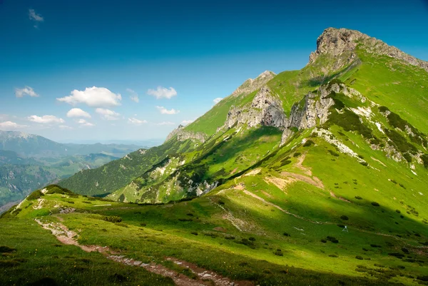 Green mountain peak scenery — Stock Photo, Image