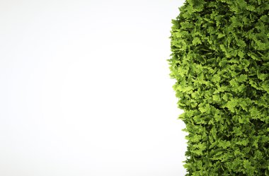 Eko metin çerçevesi