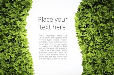 Eko metin çerçevesi 