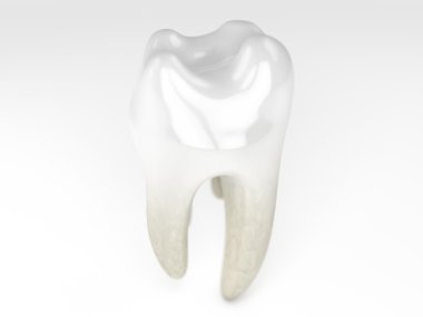 Diş closeup 3d render