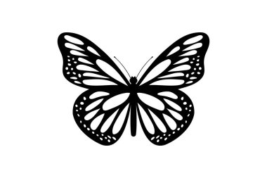 Kelebek vektör resimleme tasarımı
