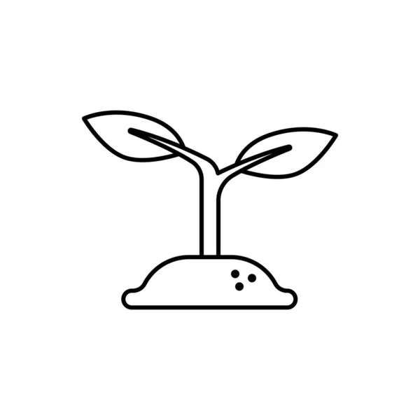 Groei Plant Pictogram Vector Illustratie — Stockvector