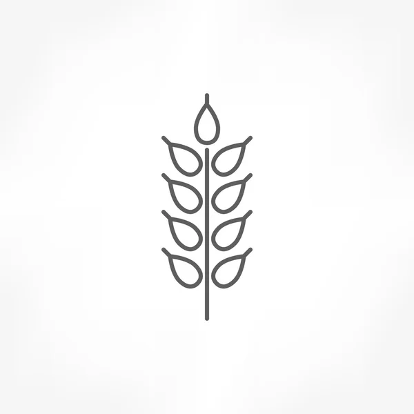 Ícone de trigo — Vetor de Stock