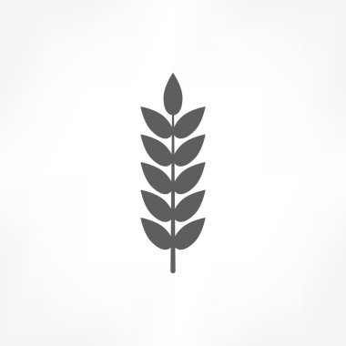 buğday simgesi