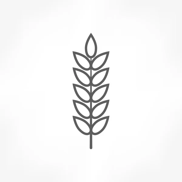 Tarwe pictogram — Stockvector