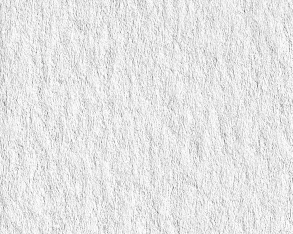 Фон Белого Дерева — стоковое фото