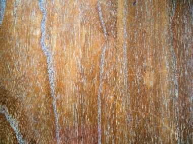 Backgrop için ahşap doku arkaplanı