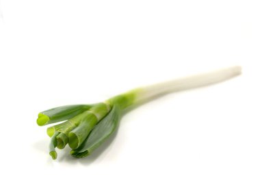 Beyaz arka planda yalıtılmış pırasa