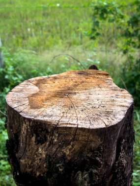 Kesme kolu, doğa arkaplanındaki halkaları göster