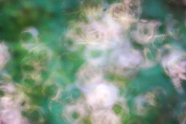 Soyut bokeh arkaplan dokusu arkaplanı