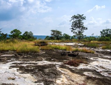 Maedow ve dağ arkaplanlı Rocky alan manzarası