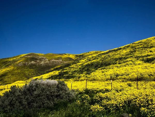Montaña Campo Inferior Durante Primavera Las Llanuras California Carrizo — Foto de Stock