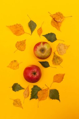 Sarı arka planda iki elma ve sonbahar yaprakları.