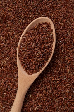 Tahıl üzerinde duran tahta kaşıkta GABA pirinci. Esmer pirinç filizlenir. Seçici odak, boşluğu kopyala.