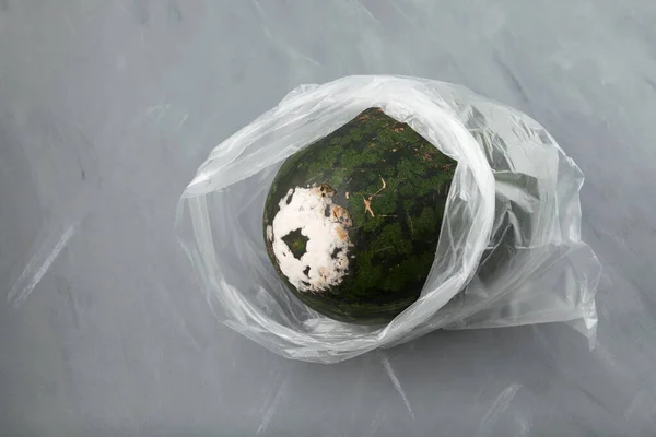 Melon Eau Moisi Gâté Dans Sac Plastique Sur Fond Gris — Photo