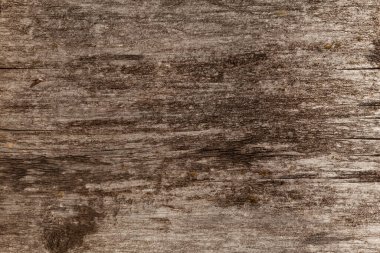 Çatlak ve paslı çivili eski ahşap yüzey. Tarla kuşlarının doğal arkaplanı.