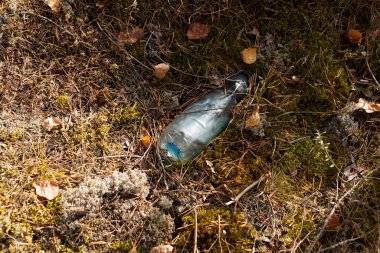 Ormanın kenarındaki tek kullanımlık plastik şişe. Çevre kirliliği. Doğada uzun süre çürüyen atık.