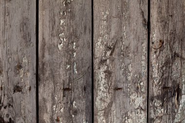 Eski ahşap yüzeyi kusurlu, çivili ve soyulmuş. Karaçam kalaslarının doğal arkaplanı. Gri renk.