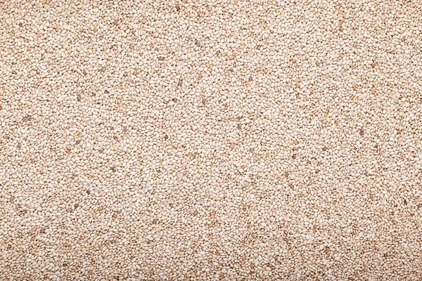 Organic Peruvian seeds chia white, dry groats, closeup. Natural food background with copy space.