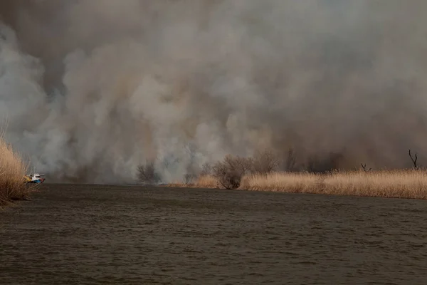 아스트라한 지역의 강에서 화재가 했습니다 러시아 구역에서 갈대나 갈대를 태운다 — 스톡 사진