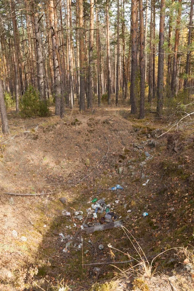 Pollution Environnement Par Les Déchets Ménagers Bouteilles Jetables Plastique Usagées — Photo