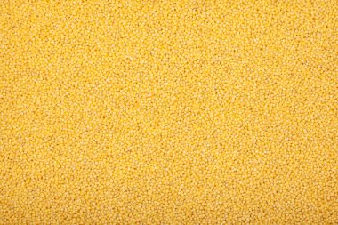 Organik Millet, kurumuş gövdeli Groats, sarı renk, yakın plan. Kopya alanı olan doğal gıda arkaplanı.