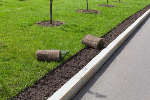 Peyzaj düzenleme, çim biçme ya da bir tomar yeşillik. Kaldırımları daralt..