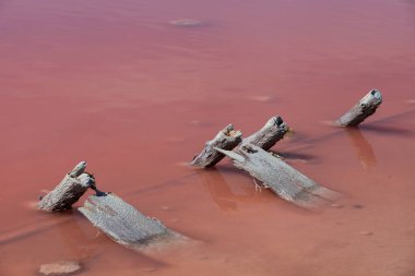Ahşap destekler ve taşlar pembe göl suyunun yüzeyinden dışarı çıkıyorlar..