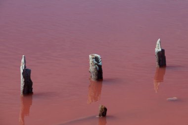 Tahta direkler ve destekler sudan dışarı sarkmış. Tuzlu pembe göl. Gölün eşsiz rengi halolik mikro algler Dunaliella salina tarafından verilir..