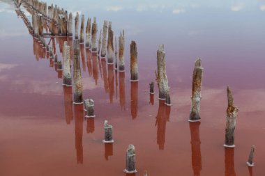 Mavi gökyüzü ve bulutlar pembe tuz gölünün su yüzeyine yansıyor. Gölün eşsiz rengi halofili mikro algler olan Dunaliella salina tarafından verilir. Pembe tuz kozmetolojide ve halk tıbbında kullanılır..