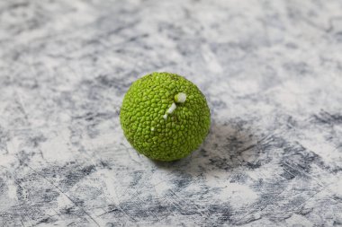 Açık gri desenli arka planda Maclura pomifera meyvesi. Alternatif tıpta özellikle eklem ve siyatik tedavisinde kullanılan Maclura meyvesi veya Adem elması.