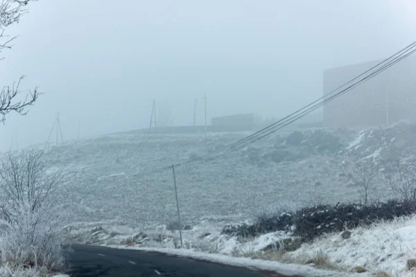 Tåkelandskap Med Snø Snødekte Trær – stockfoto