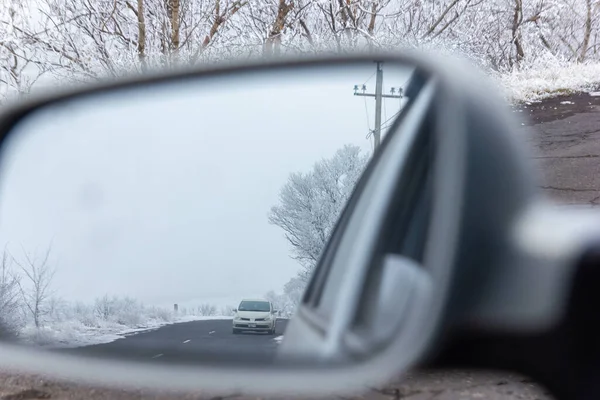 winter forest reflection in mirror